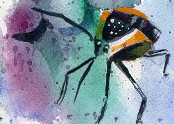 Bug Carol Gepner Madison WI watercolor